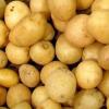 Kuidas keeta maitsvaid kartuleid kastrulis erineval viisil