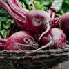 How to freeze beets for the winter at home. Is it possible to freeze grated raw beets?