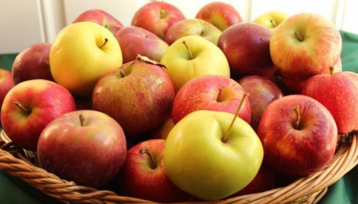Варенье из яблок — простые рецепты в домашних условиях